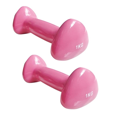 อุปกรณ์ออกกำลังกายเหล็กหล่อ Dumbbells Vinyl Dipping Neoprene Coated Colorful
